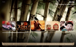 20 bamboo theme